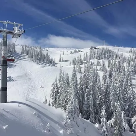 Gora * Jahorina